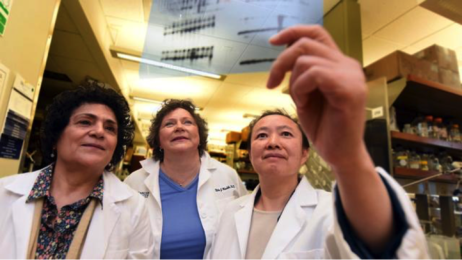 Dr. Nahid Mivechi, Dr. Nita Maihle, Dr. Lan Ko